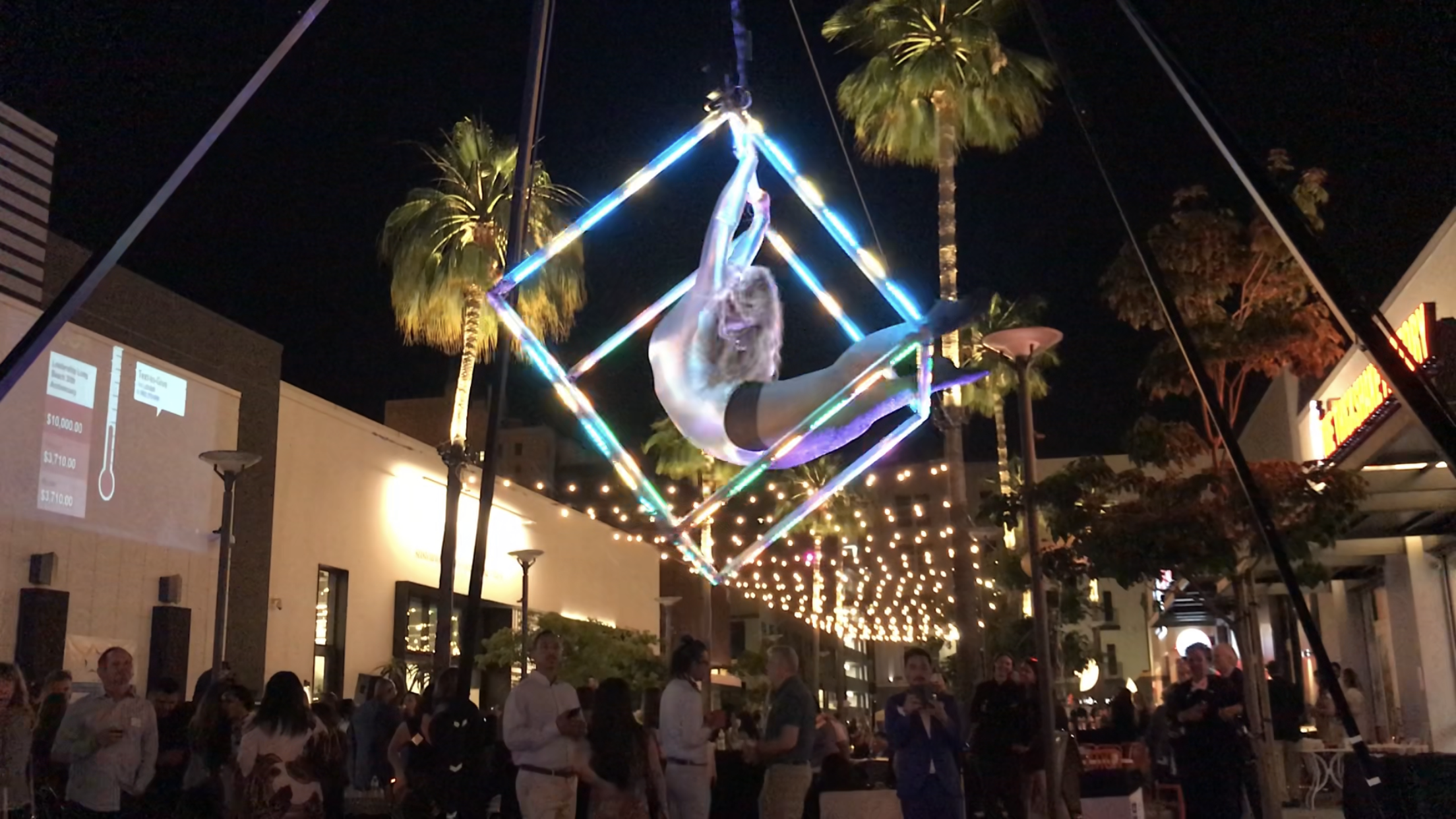 Cirque Lunaire performance