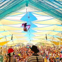 Aerial Arts