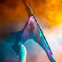 LED Performances