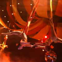 Aerial Arts